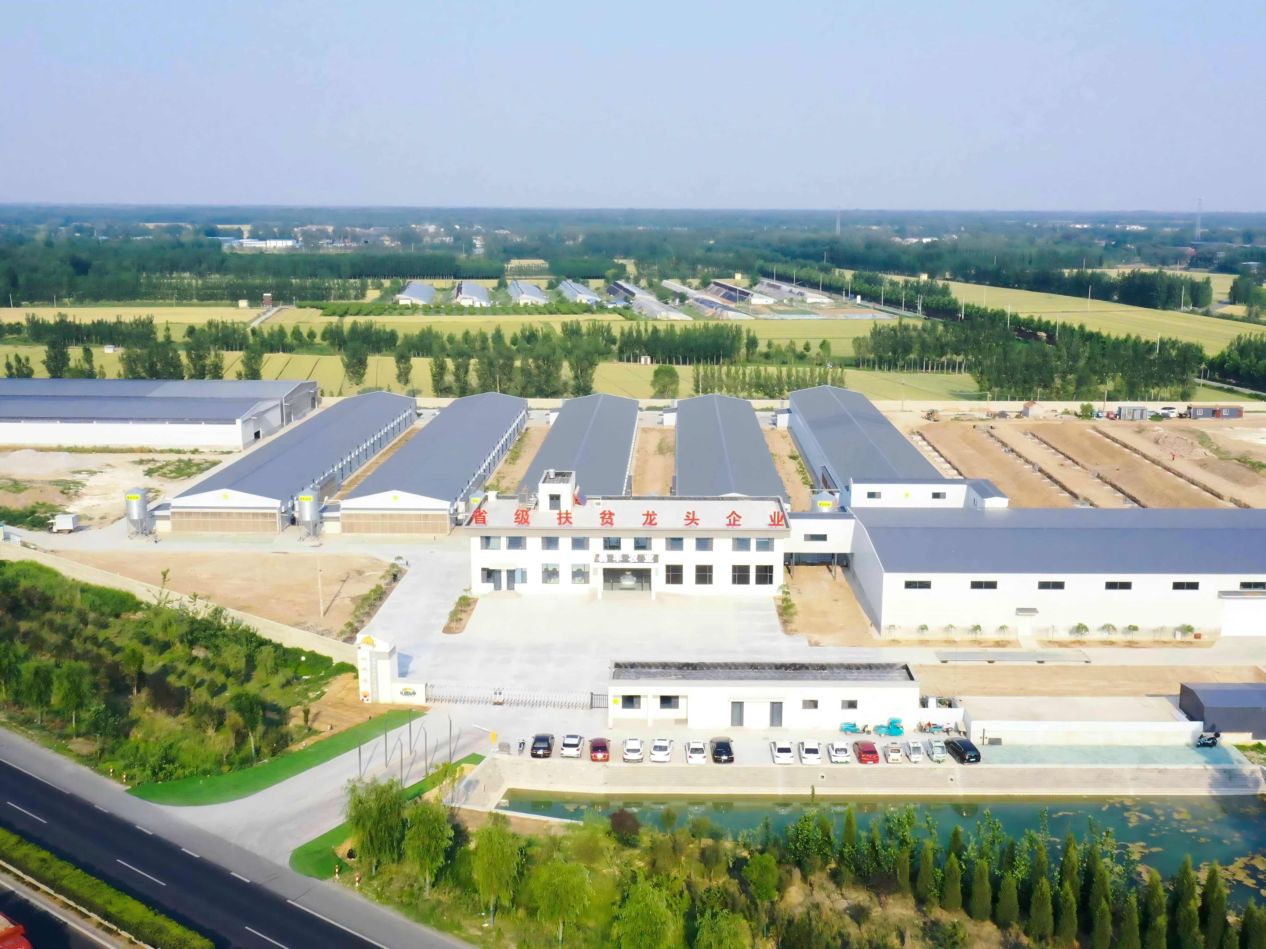 長(zhǎng)田樂享超鮮蛋農(nóng)場(chǎng)