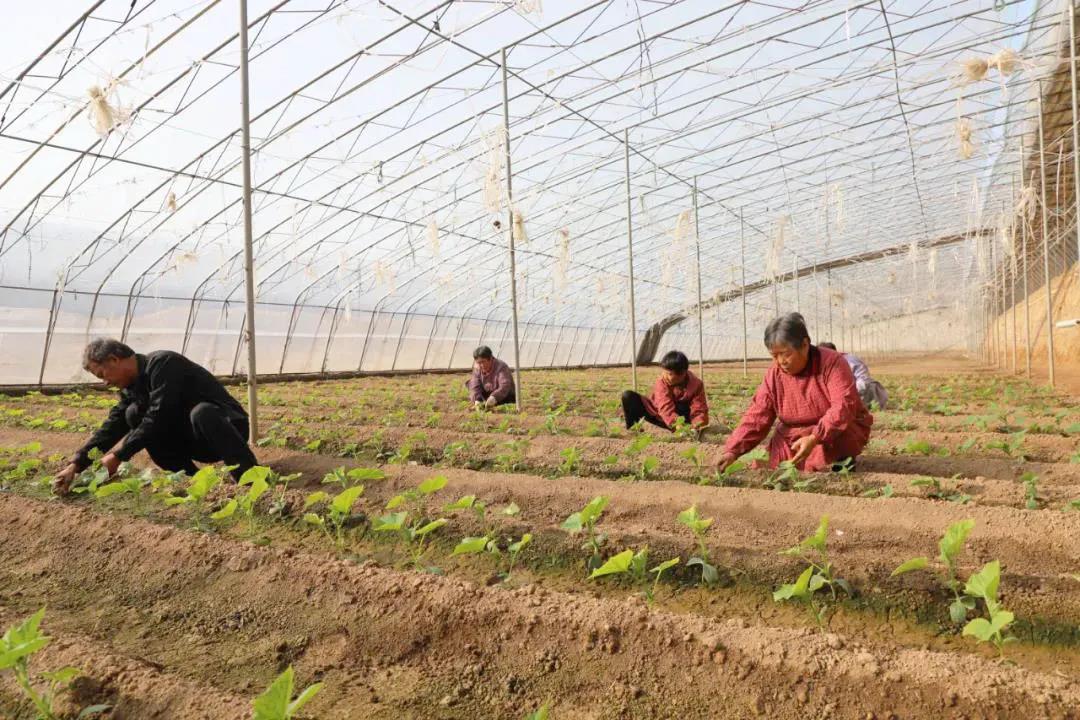 1626240669870650.jpg 20210324094441902.jpg